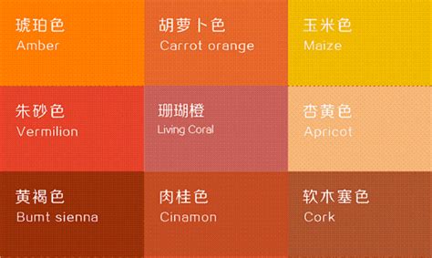 橘色搭配顏色|橙色系(orange)色彩搭配攻略